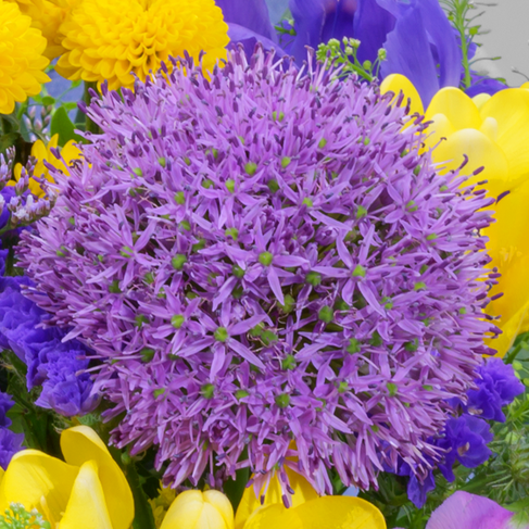 Blumenstrauß Frühlingsfest mit Vase & Ferrero Giotto 3er
