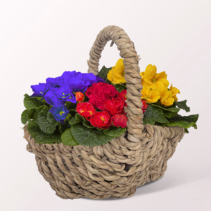 Fairytale Like Spring Basket