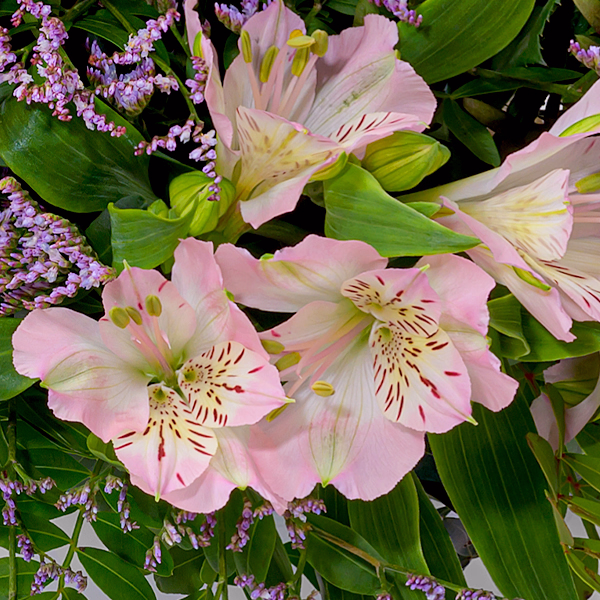 Blumenmix Kleiner Dank mit Ferrero Giotto 3er