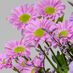 Blumenmix Kleiner Dank mit Ferrero Giotto 3er