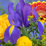 Flower Mix Frühlingsgedicht with 3 Ferrero Giotto