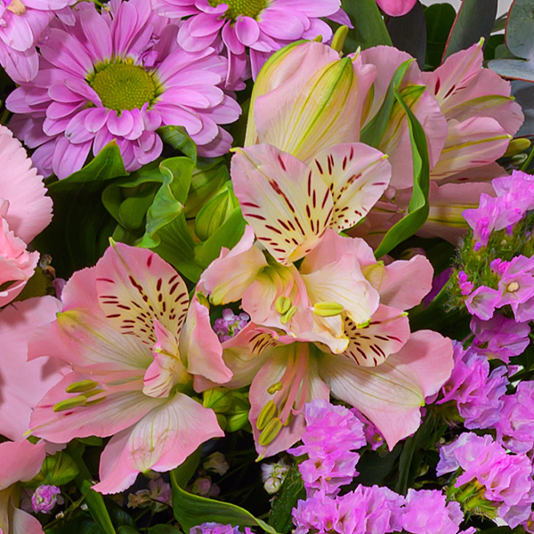 Blumenmix Frühlingstraum mit Ferrero Giotto 3er