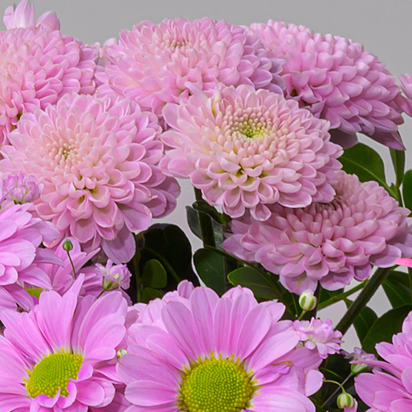 Blumenmix Frühlingstraum mit Ferrero Giotto 3er