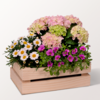 Plant Subscription