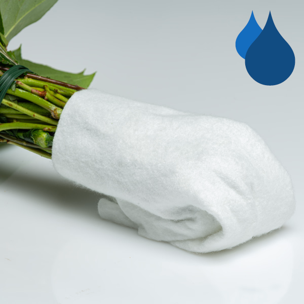 20 Red Valentine's Day Roses in a Bunch with vase & Plush Heart