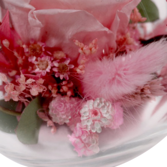 Pink Long-lasting Rose in a Glass