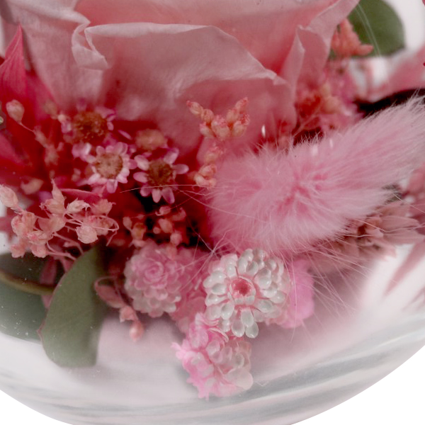 Pink Long-lasting Rose in a Glass