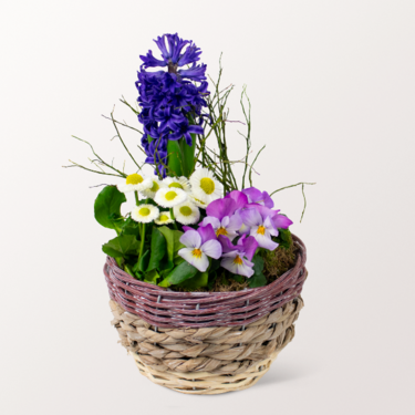Spring in a Basket