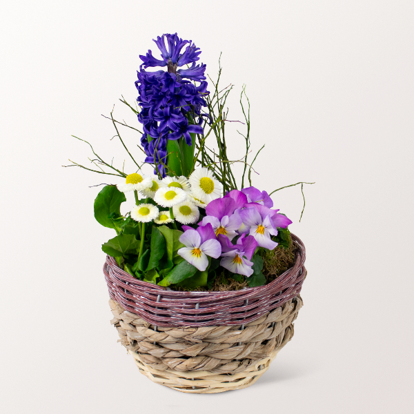 Spring in a Basket