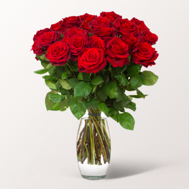 Bunch of 20 Red Roses with vase & 3 Ferrero Giotto