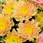 Blumenstrauß Poesie mit Vase & Ferrero Giotto 3er