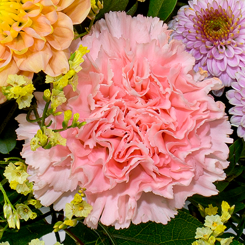 Flower Bouquet Poesie mit vase & 3 Ferrero Giotto