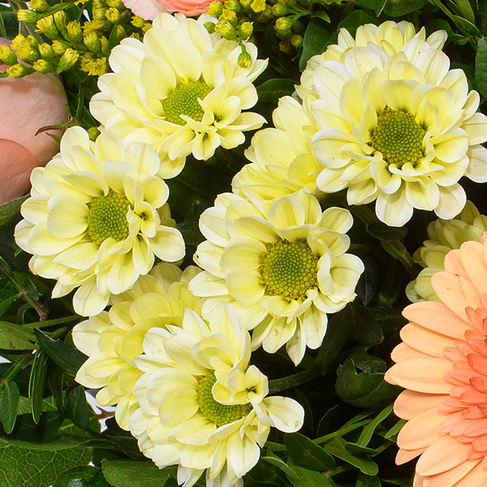 Blumenstrauß Zarte Grüße mit Vase & Ferrero Giotto 3er