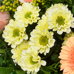 Blumenstrauß Zarte Grüße mit Vase & Ferrero Giotto 3er