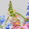 Flower Bouquet Lovely with vase & 3 Ferrero Giotto