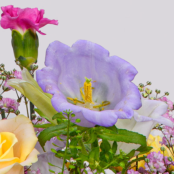 Premium Bouquet Märchengarten with Premium Vase & 3 Ferrero Giotto