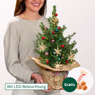 Weihnachtsbaum Wintertanz mit Lichterkette & mit Ferrero Giotto 3er