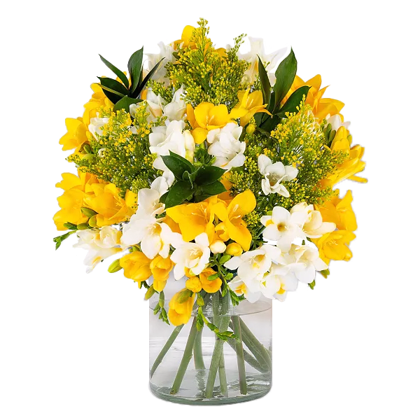 Bouquet of Sunlights