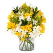 Bouquet of Sunlights