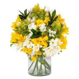 Bouquet of Sunlights Bouquet of Sunlights