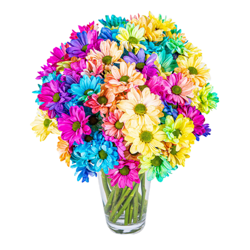 Blumenstrauß Regenbogen