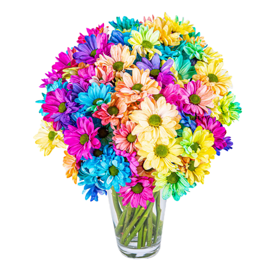 Blumenstrauß Regenbogen