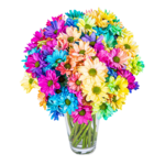Blumenstrauß Regenbogen
