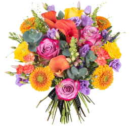 Bouquet Harmony Bouquet Harmony