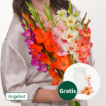 Bunte Gladiolen im Bund mit Vase & Ferrero Giotto 3er