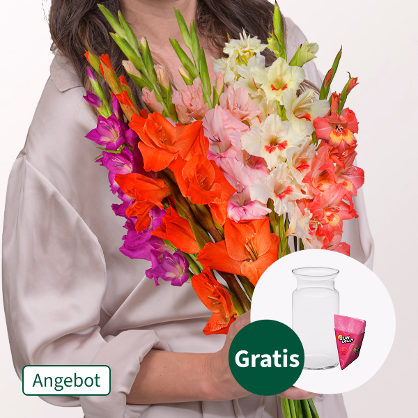 Bunte Gladiolen im Bund mit SunLolly Himbeere & Vase