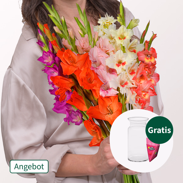 Bunte Gladiolen im Bund mit SunLolly Himbeere & Vase