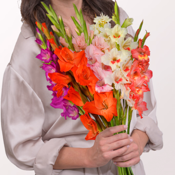 Bunte Gladiolen im Bund mit SunLolly Himbeere & Vase