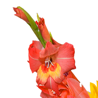 Blumenstrauß Sonnenstrahl mit Vase & Ferrero Giotto 3er