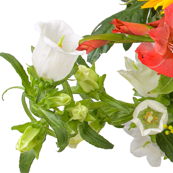 Blumenstrauß Sonnenstrahl mit Vase & Ferrero Giotto 3er