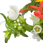 Blumenstrauß Sonnenstrahl mit Vase & Ferrero Giotto 3er