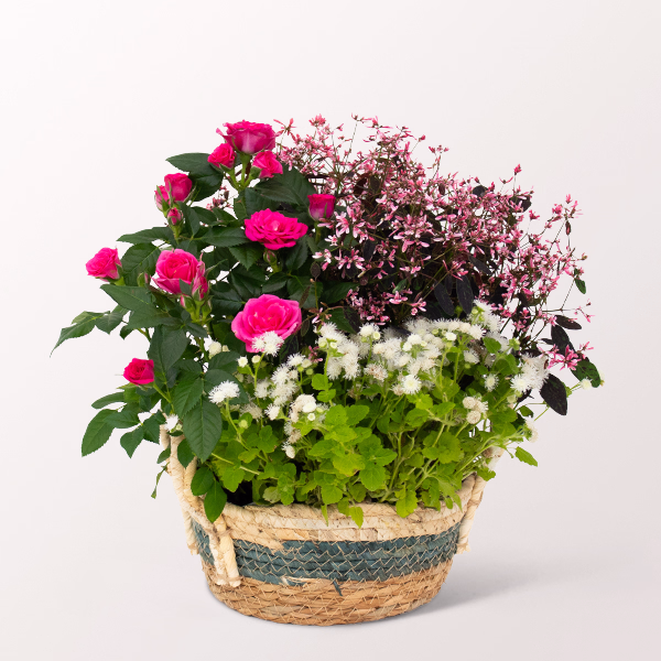 Summer Poetry in a Basket