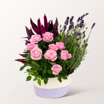Romance in a Basket