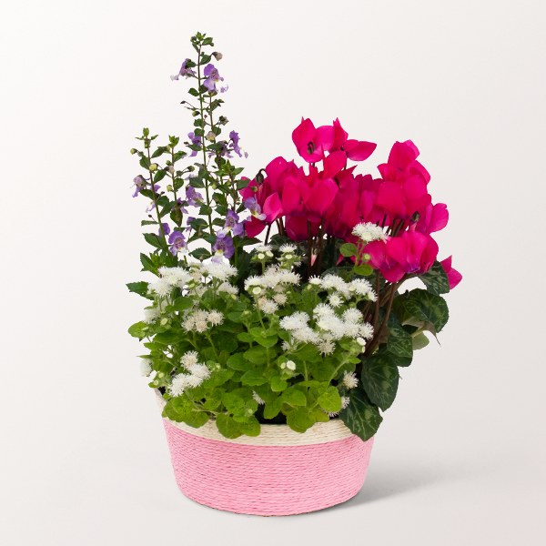 Ode to Summer in a Basket