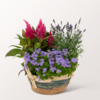 Surprise in a Basket