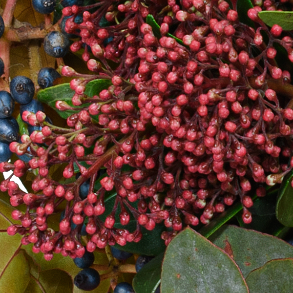 Blumenstrauß Herbstgedicht mit Vase & Ferrero Giotto 3er