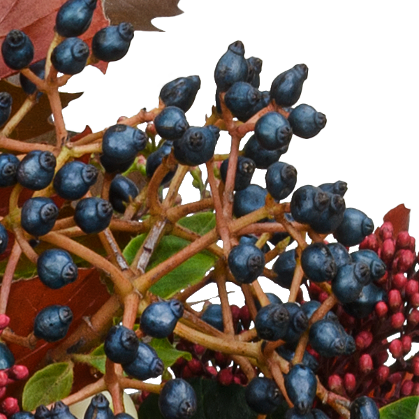 Blumenstrauß Herbstgedicht mit Vase & Ferrero Giotto 3er