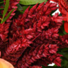 Blumenstrauß Herbstballade mit Vase & Teaballs & Ferrero Giotto 3er
