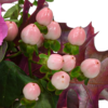 Blumenstrauß Schöner Herbst mit Vase & Teaballs & Ferrero Giotto 3er