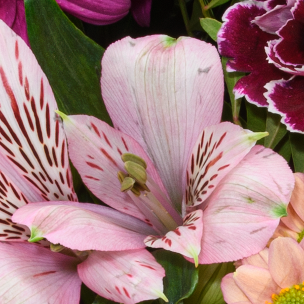 Blumenstrauß Lieber Gruß mit Vase & Ferrero Giotto 3er