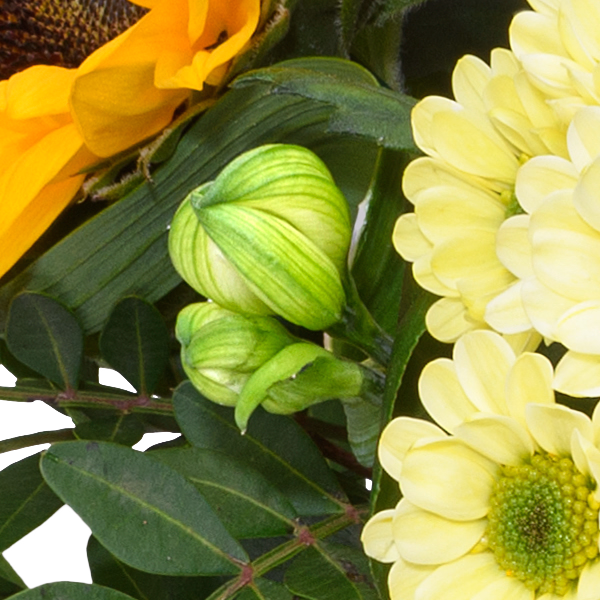 Blumenstrauß Herbstfrische mit Halloren Kugeln & Vase
