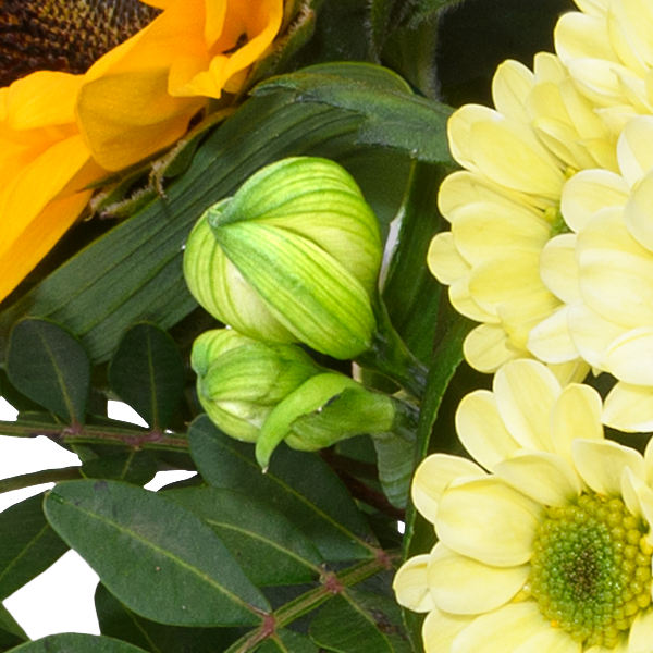 Flower Bouquet Herbstfrische with vase & 3 Ferrero Giotto