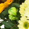 Blumenstrauß Herbstfrische mit Vase & Teaballs & Ferrero Giotto 3er