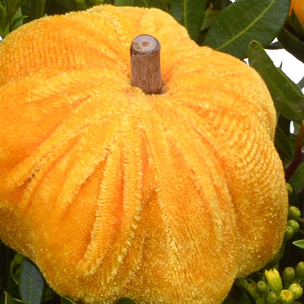 Blumenstrauß Herbstfrische mit Halloren Kugeln & Vase