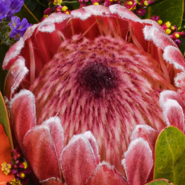 Blumenstrauß Herbstfrisch mit Halloren Kugeln & Vase