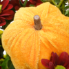 Blumenstrauß Landpartie mit Vase & Teaballs & Ferrero Giotto 3er